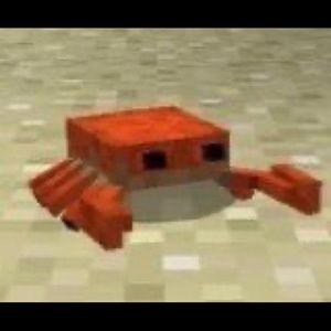 Meet your Posher, Jillian